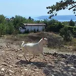 Cozy With Forest View & Bath - 10min Drive To Black Sea *