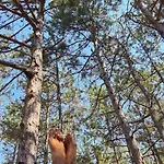 Apartmán Cozy With Forest View & Bath - 10min Drive To Black Sea