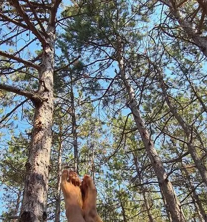 Appartement Cozy With Forest View & Bath - 10min Drive To Black Sea