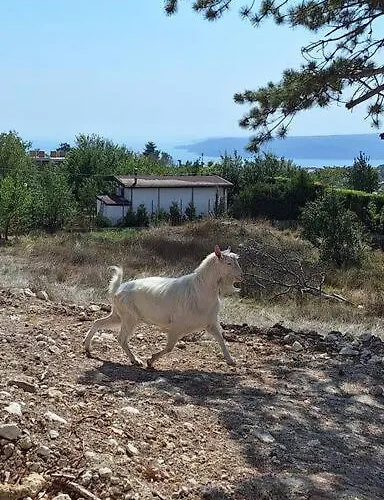 Cozy With Forest View & Bath - 10min Drive To Black Sea *