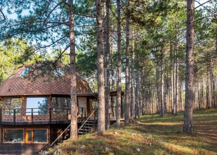 Apartamento Cozy With Forest View & Bath - 10min Drive To Black Sea