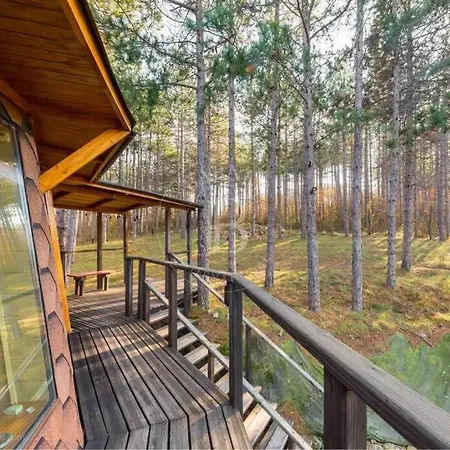 Cozy With Forest View & Bath - 10min Drive To Black Sea Apartmán *