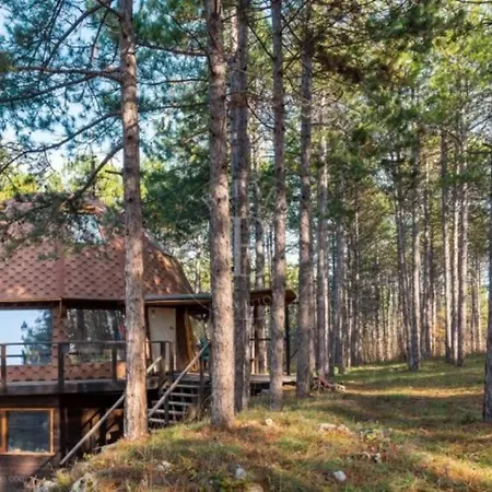 Apartmán Cozy With Forest View & Bath - 10min Drive To Black Sea