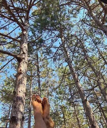 아파트 Cozy With Forest View & Bath - 10min Drive To Black Sea