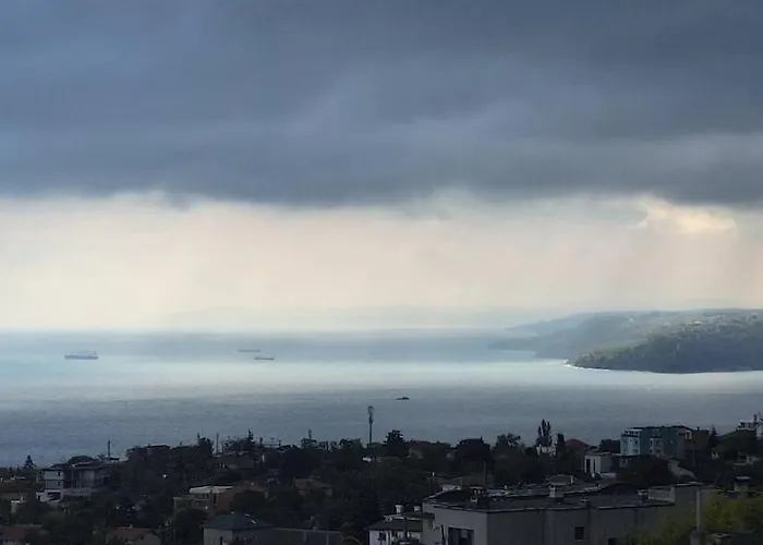 아파트 Cozy With Forest View & Bath - 10min Drive To Black Sea